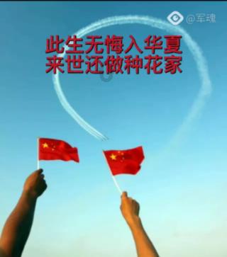 可爱小猫的发廊