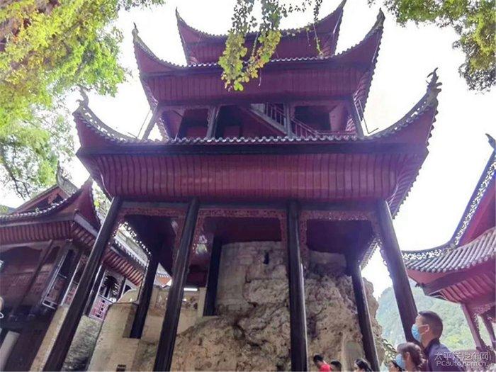 看完财报后,终于明白了为何药明康德近期“风声鹤唳”